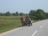 2007-08-18-02-horse-drawn-carriage.jpg