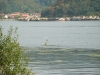 2007-08-22-13-danube.jpg