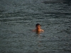 2007-08-22-15-going-swimming.jpg
