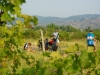 2007-08-30-03-writing-diary.jpg